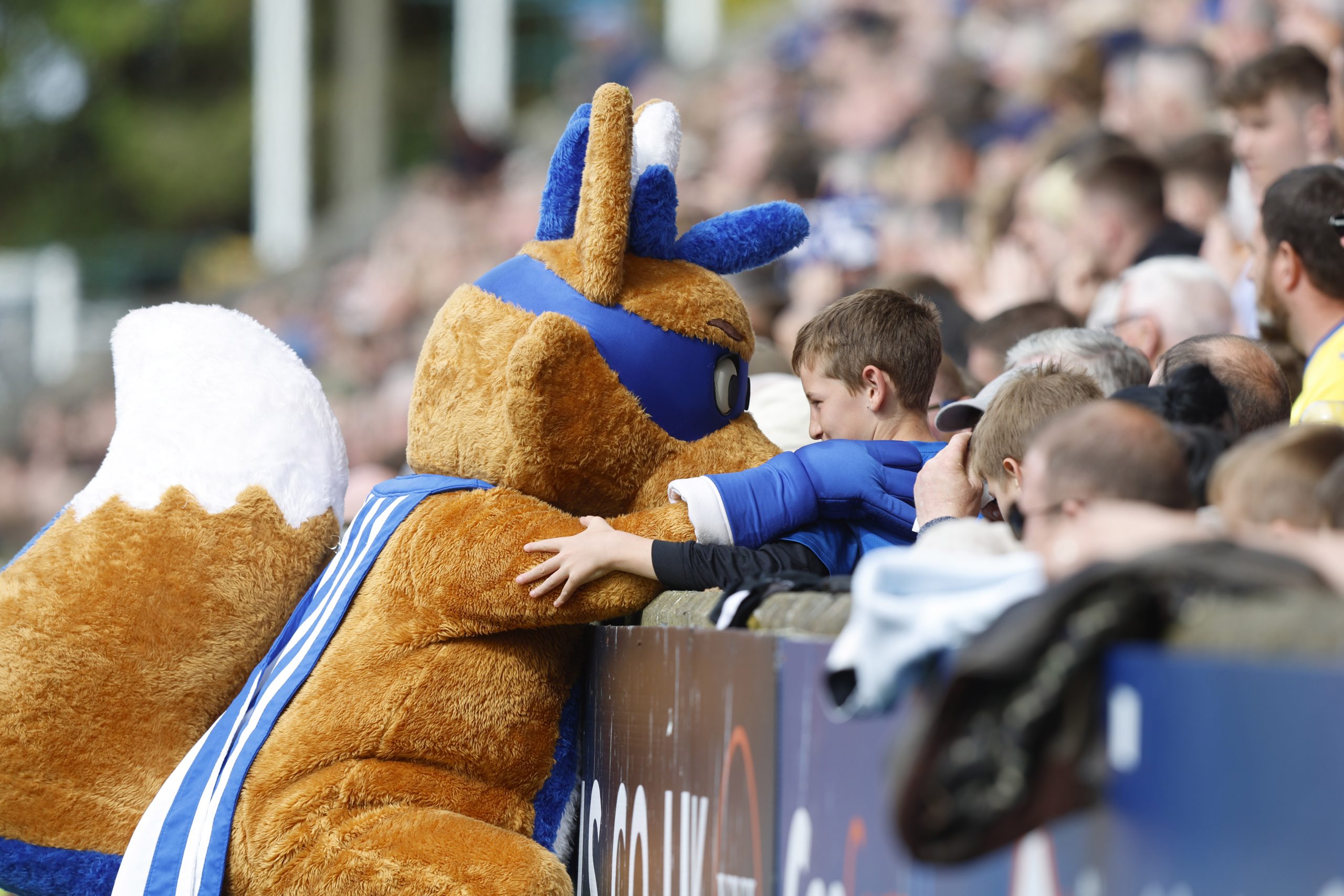 Matchday experience